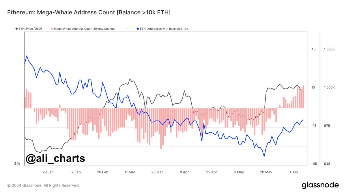 So sánh biến động giá ETH và số lượng ví siêu cá voi ETH trong năm 2024. Nguồn: glassnode/ali_chart