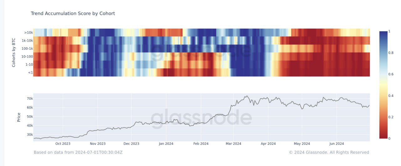 Điểm tích lũy Bitcoin theo từng hạng ví. Nguồn: glassnode.