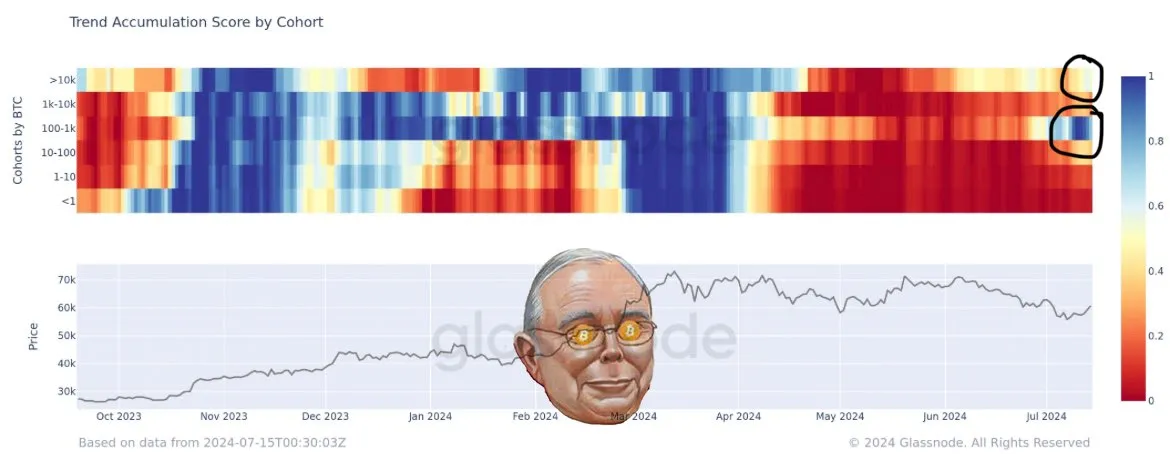 Bitcoin Trend Accumulation Score. Nguồn: glassnode/bitcoinmunger