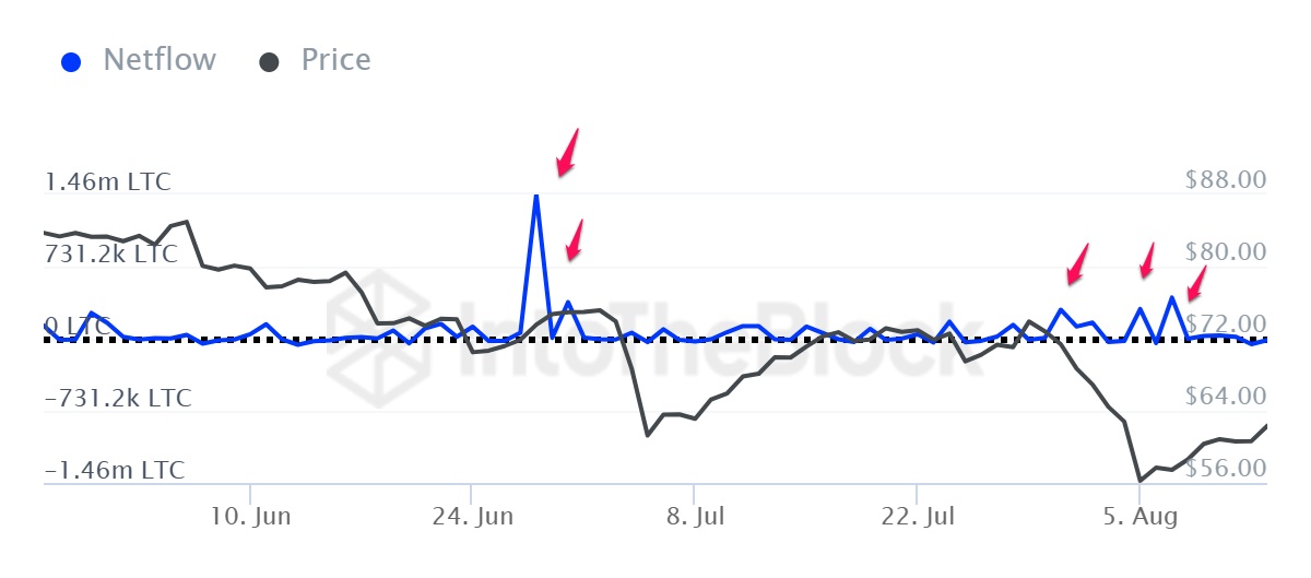 Netflow của Large Holder trên mạng Litecoin. Nguồn: IntoTheBlock.