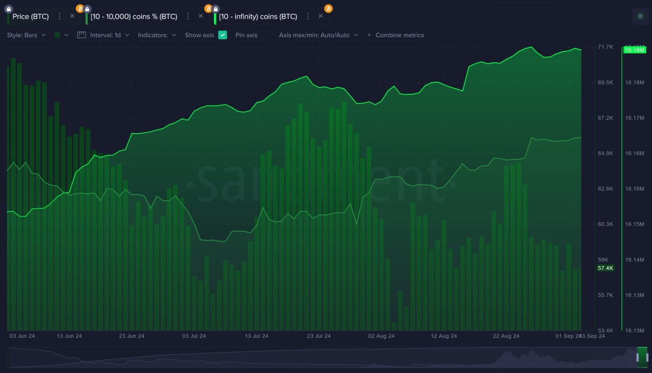 Hoạt động của Bitcoin Whale.