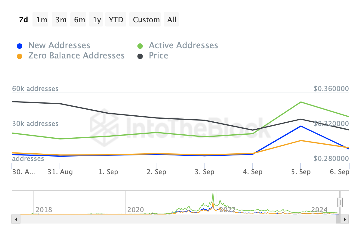 Hoạt động mạng Cardano. Nguồn: IntoTheBlock 