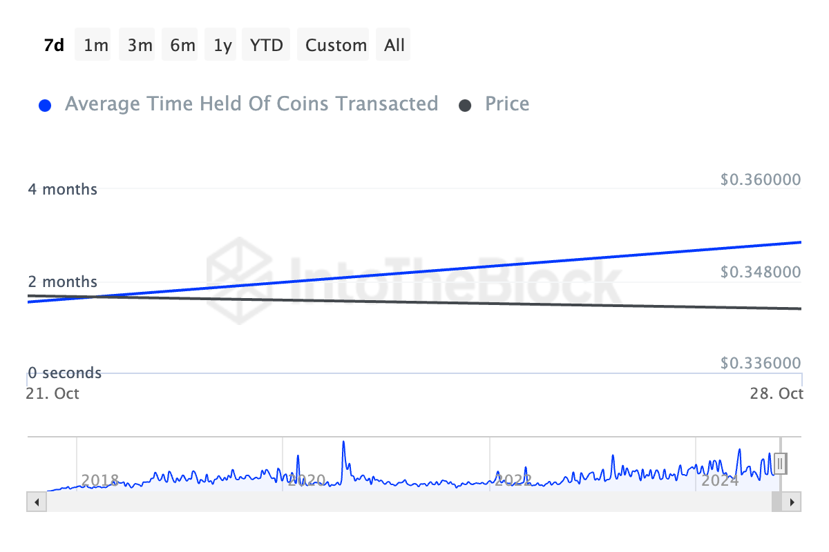 Thời gian nắm giữ trung bình của Cardano