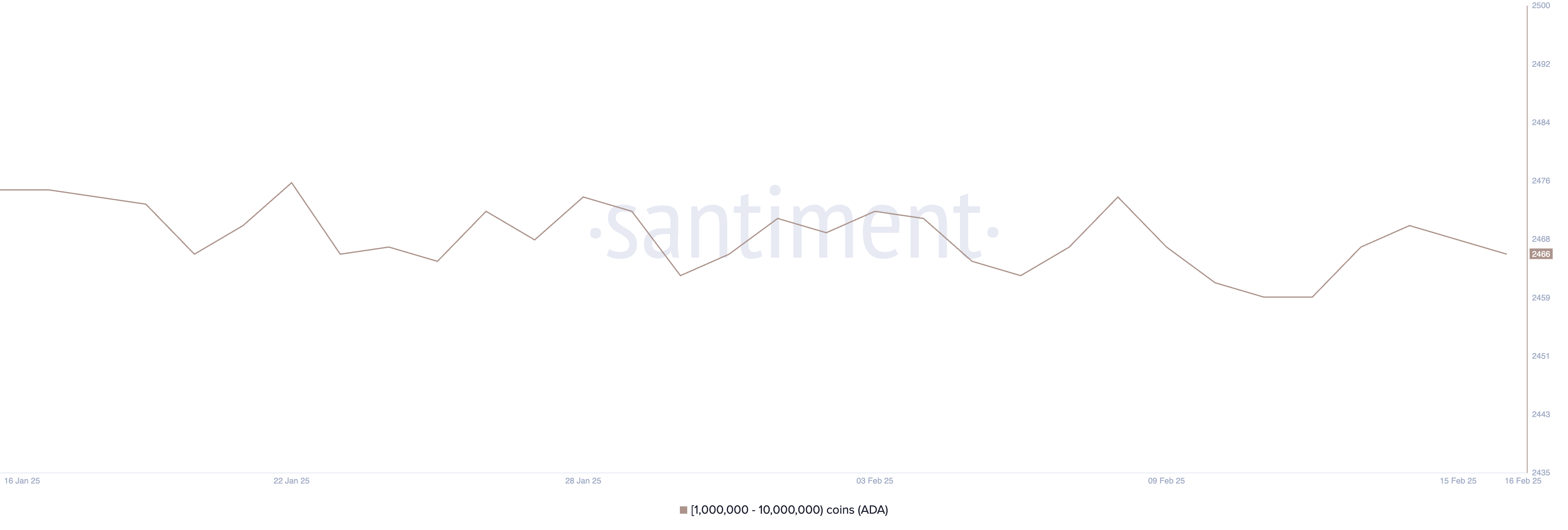 Addresses Holding Between 1 Million and 10 Million ADA.