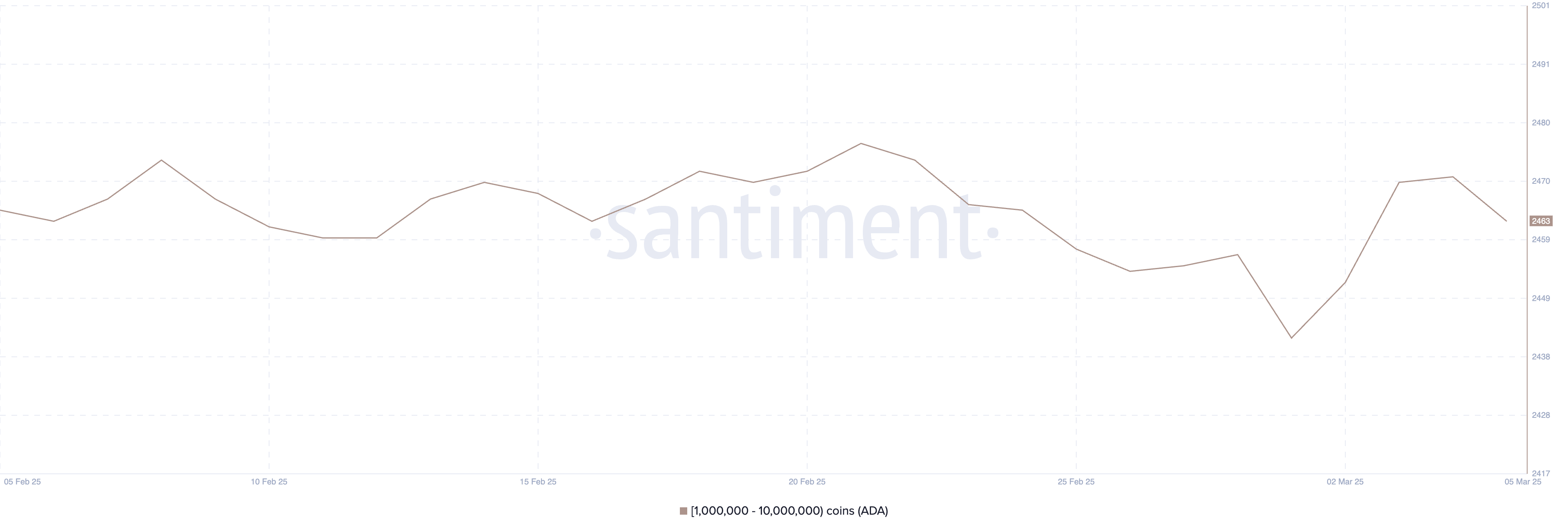 Addresses Holding Between 1 Million and 10 Million ADA.