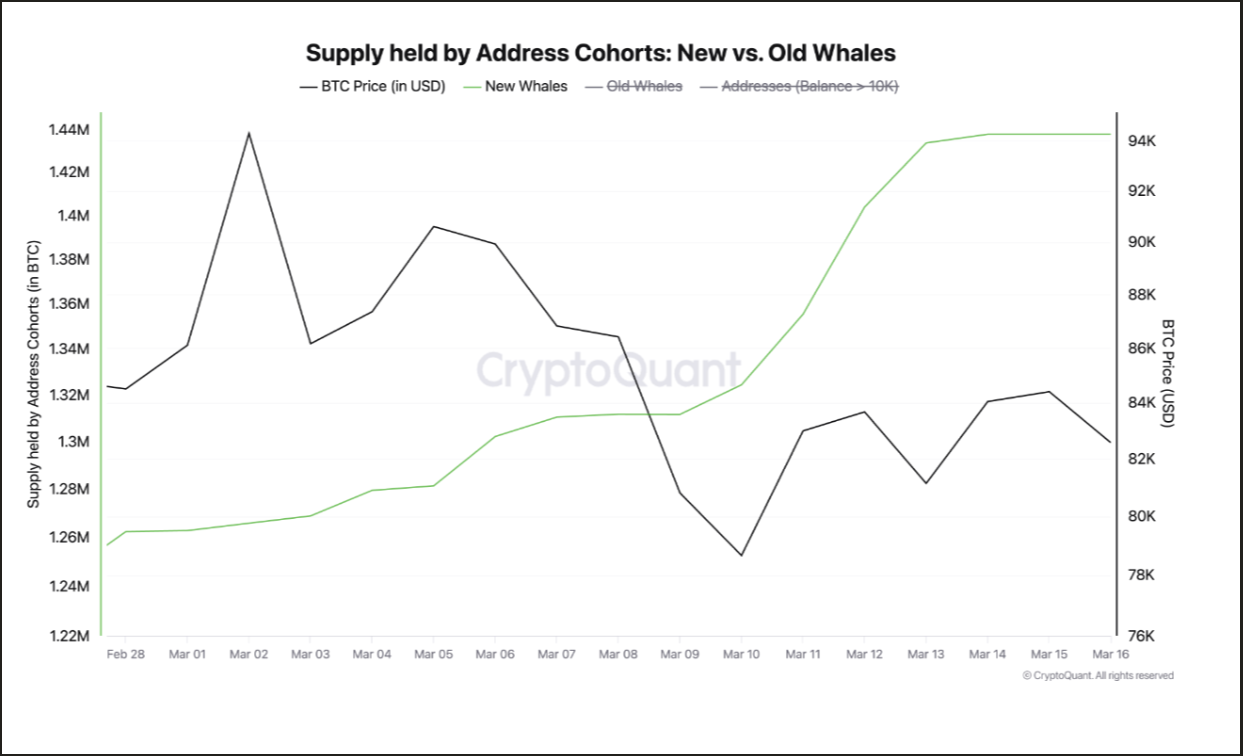 BTC Supply held By Address Cohorts. Source: CryptoQuant