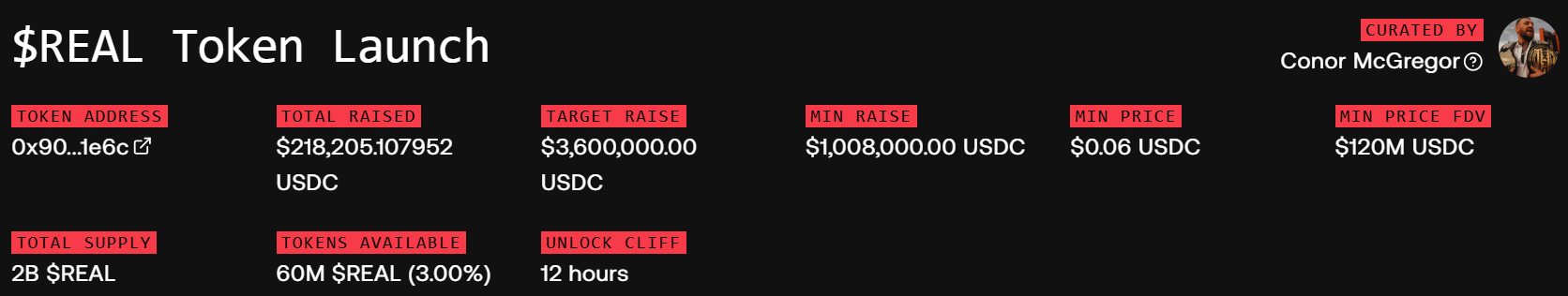 REAL Token Fundraise.