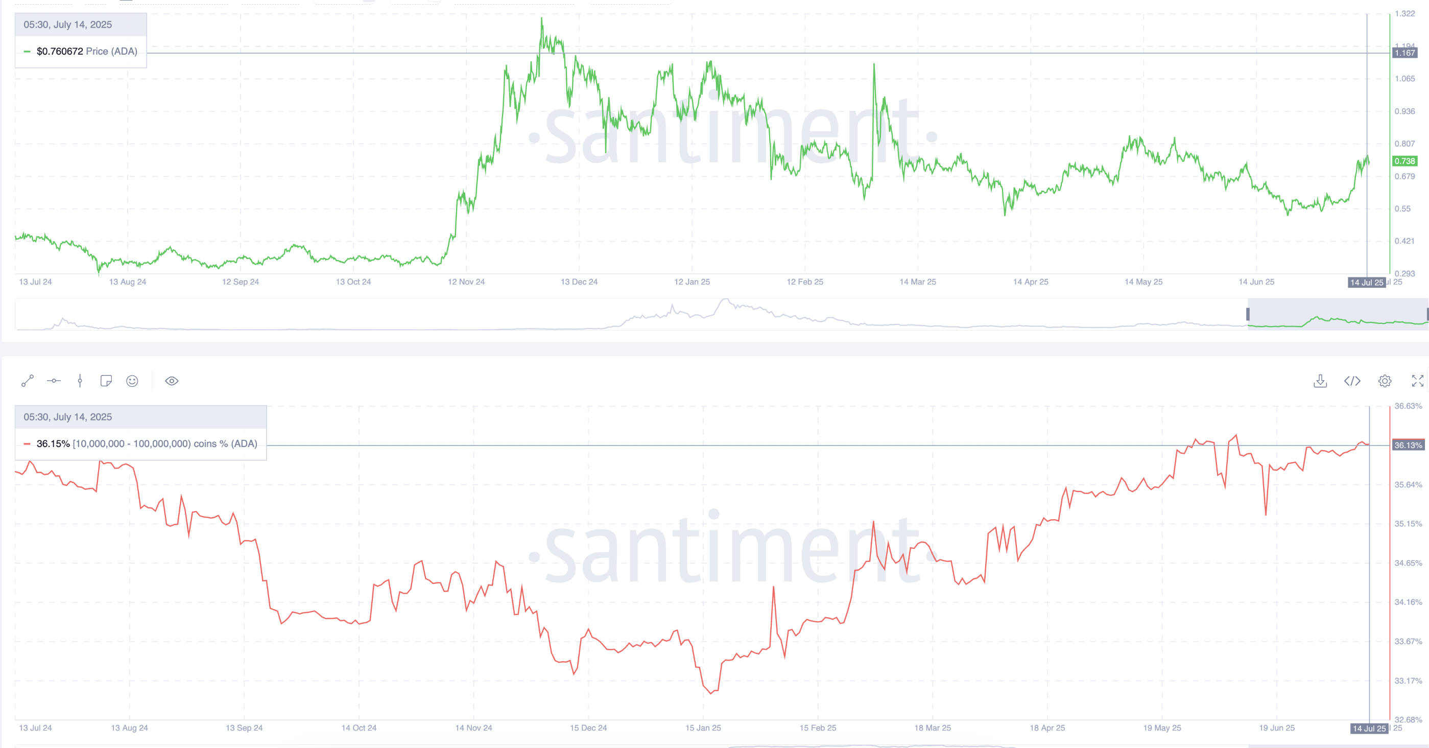 Giá Cardano và ví cá voi
