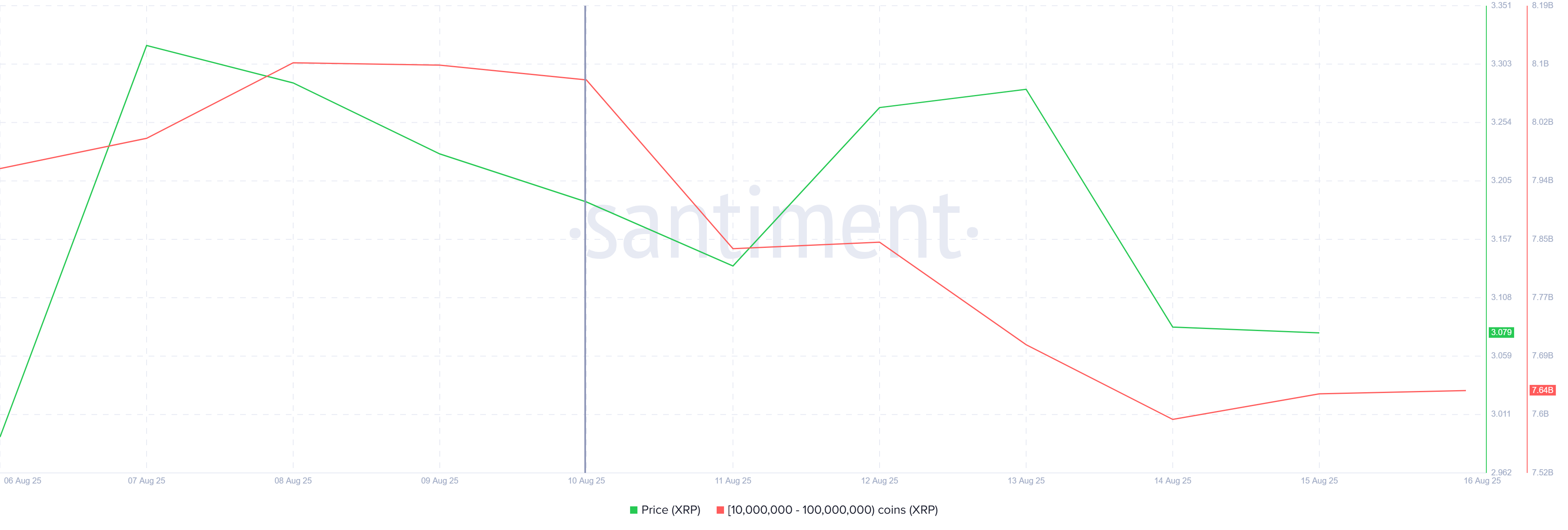 XRP Whale Holdings